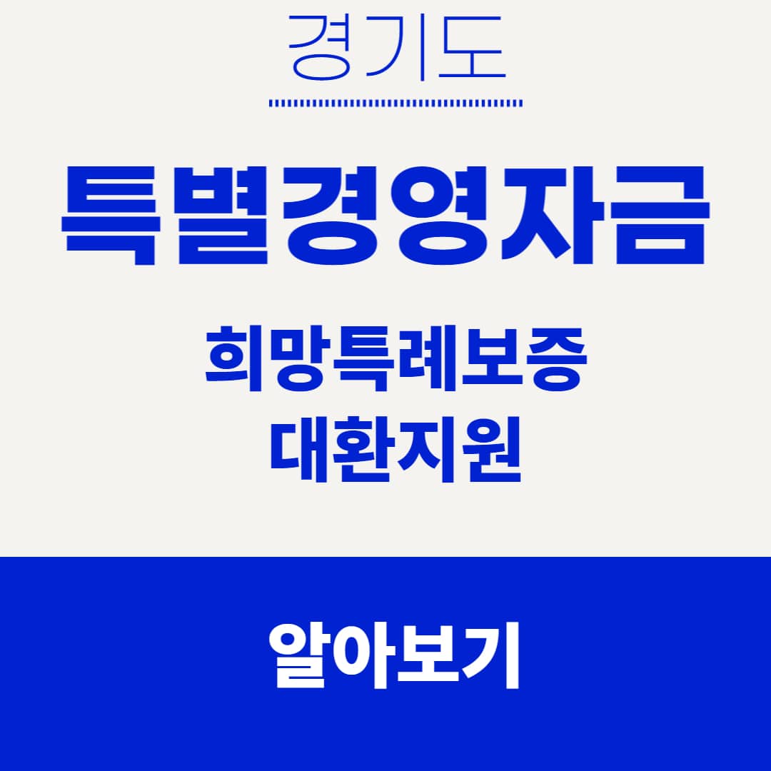 소상공인 대환자금