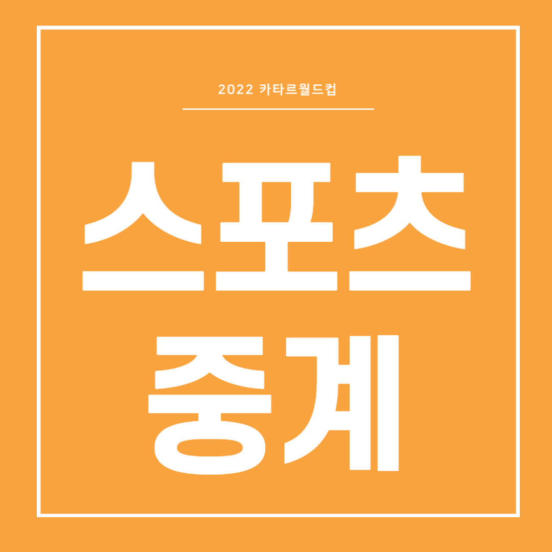 2022 카타르월드컵 중계