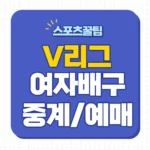 24-25 v리그 중계