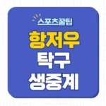 항저우 아시안게임 탁구 중계