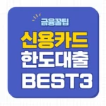 신용카드 한도대출